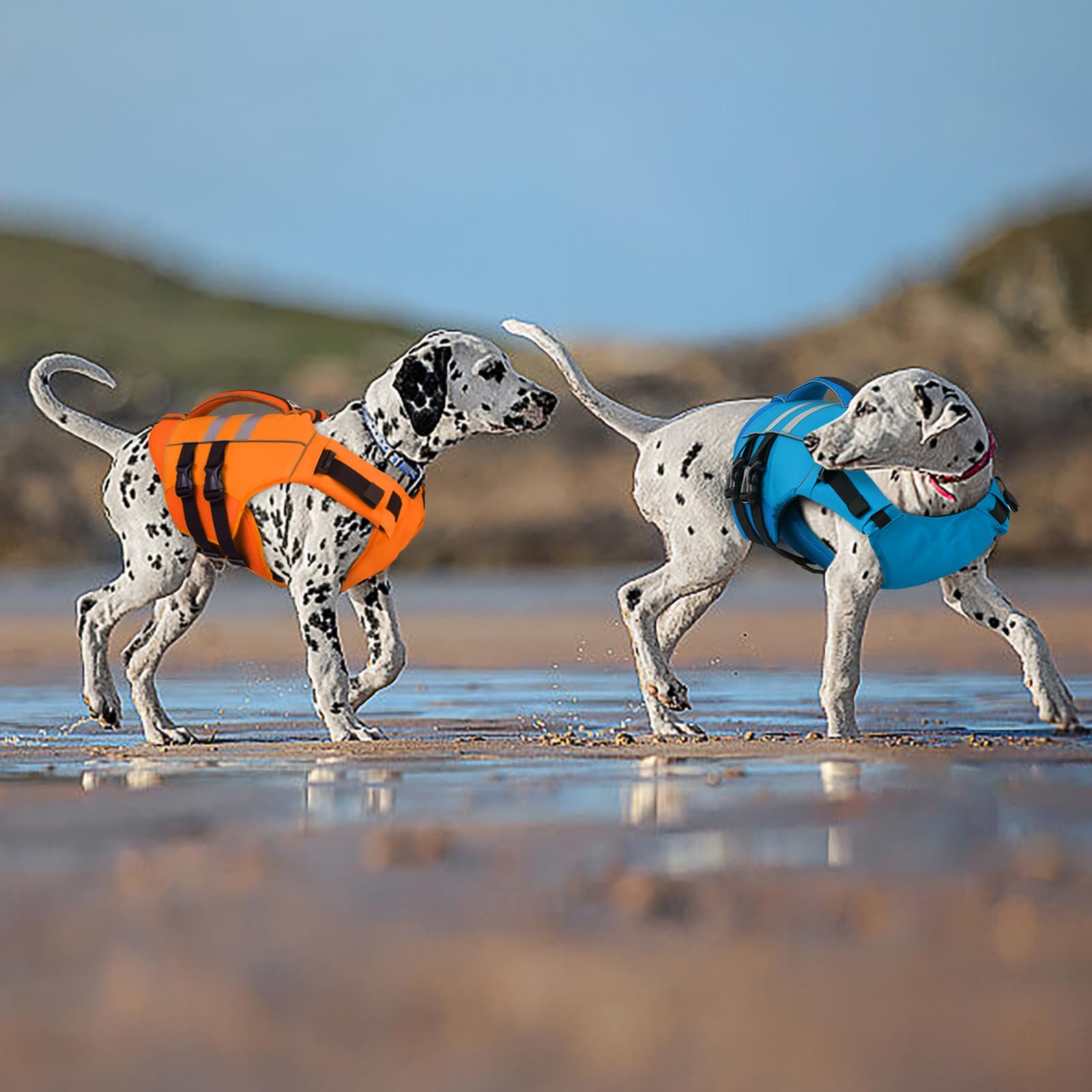 Kuoser top handle and D-ring provide easy rescue and leash attachment.