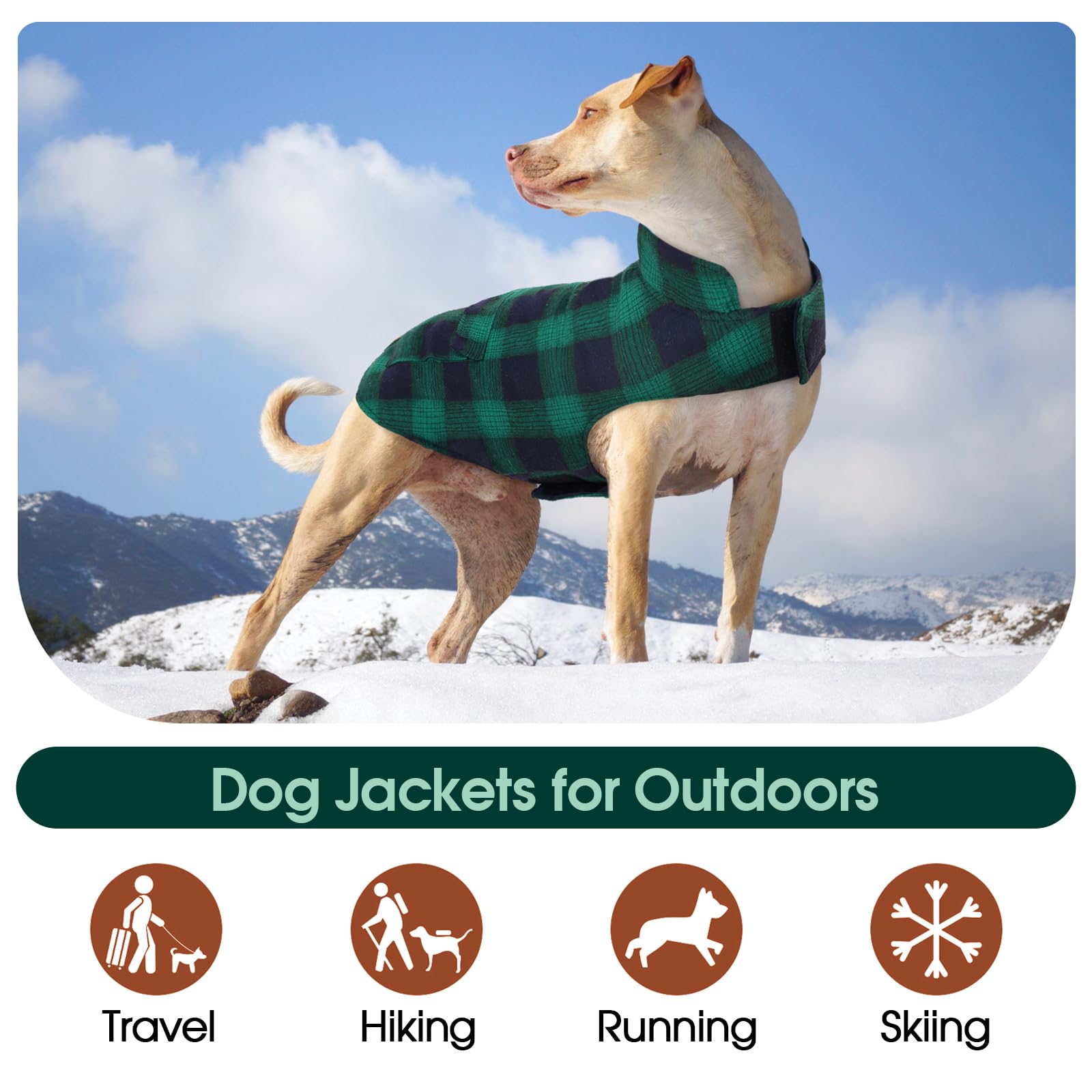 Kuoser reversible dog jacket back leash hole for secure leash attachment