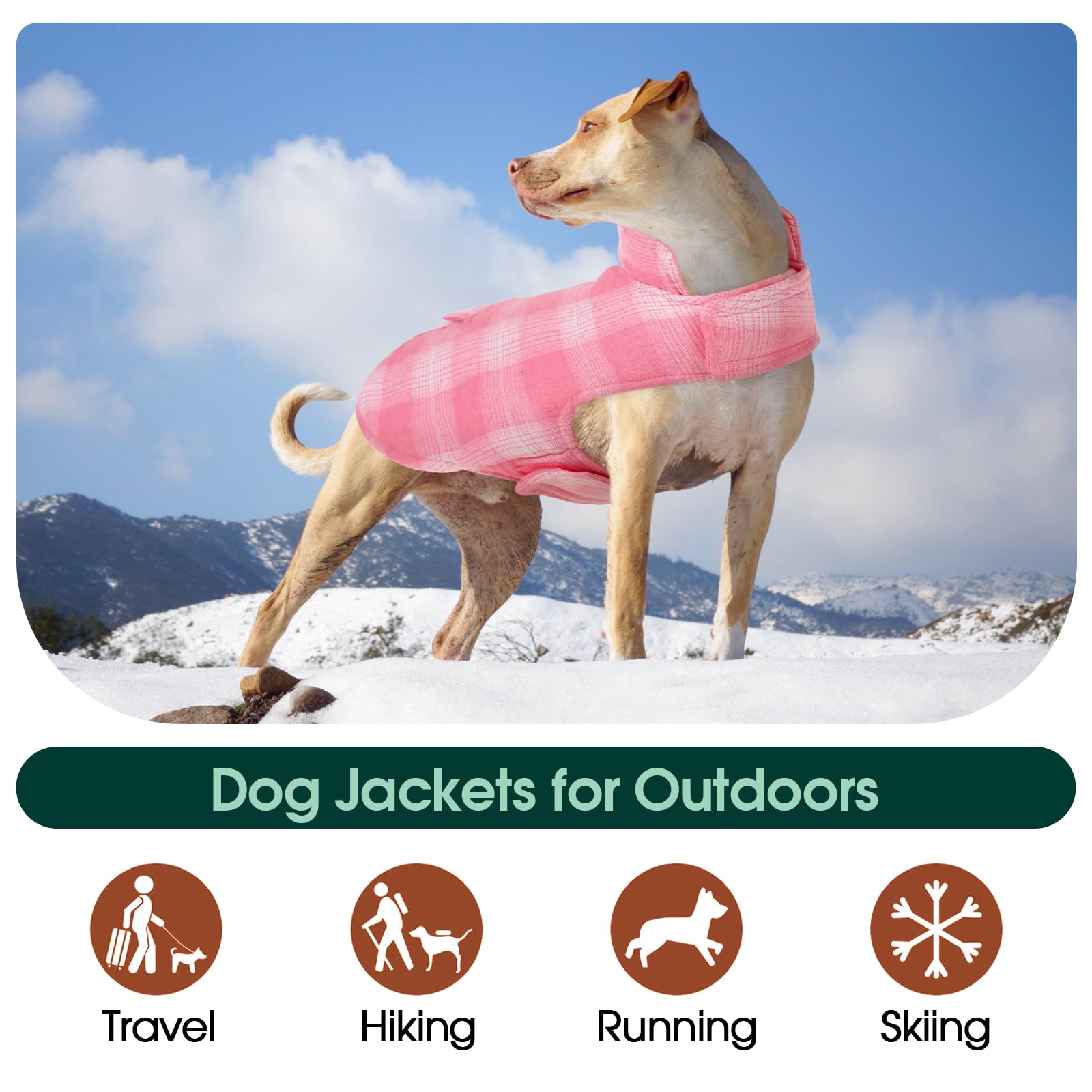 Back leash hole on Kuoser coat allows leash attachment without extra hardware.