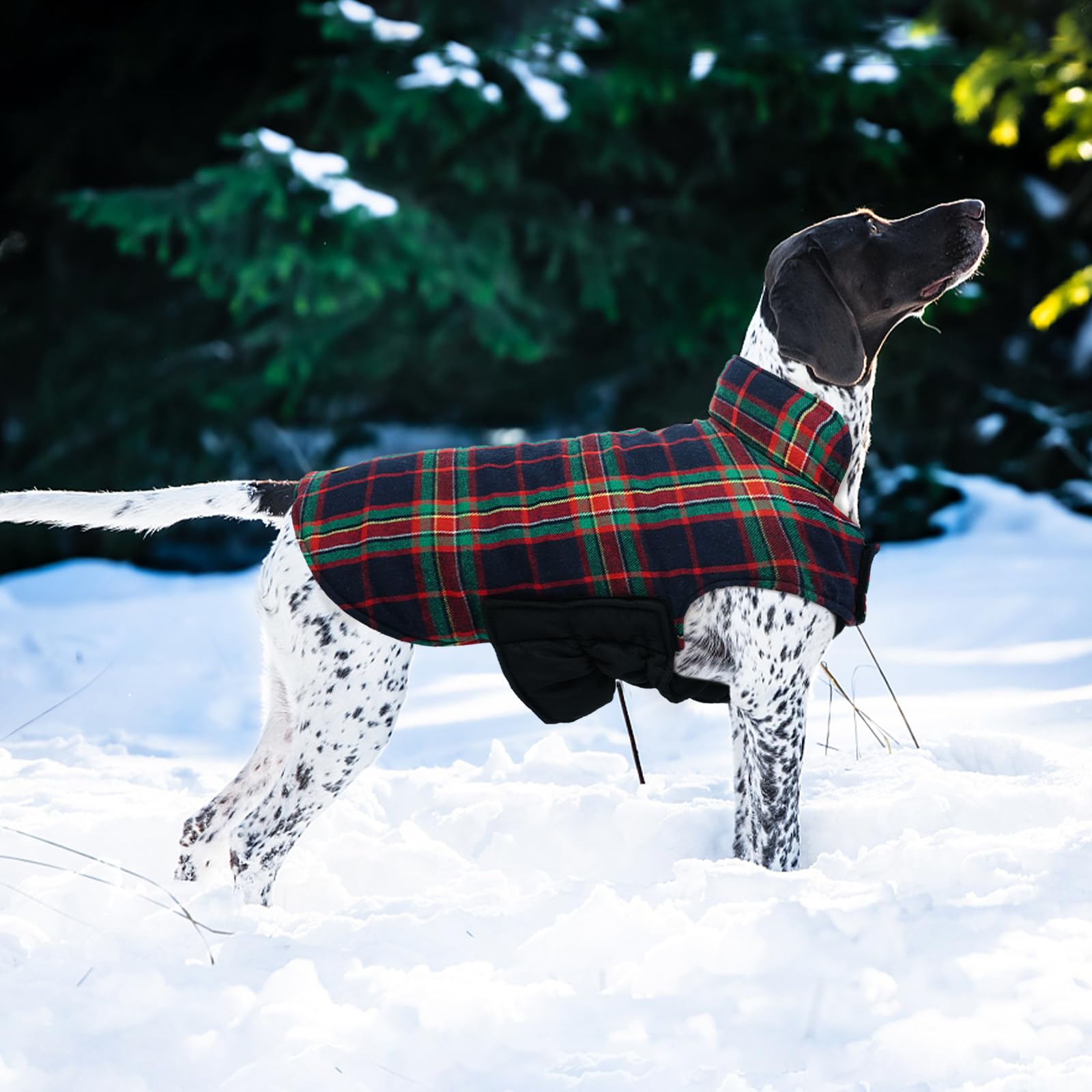 Kuoser royal blue plaid pattern winter coat highlighting stylish winter look.