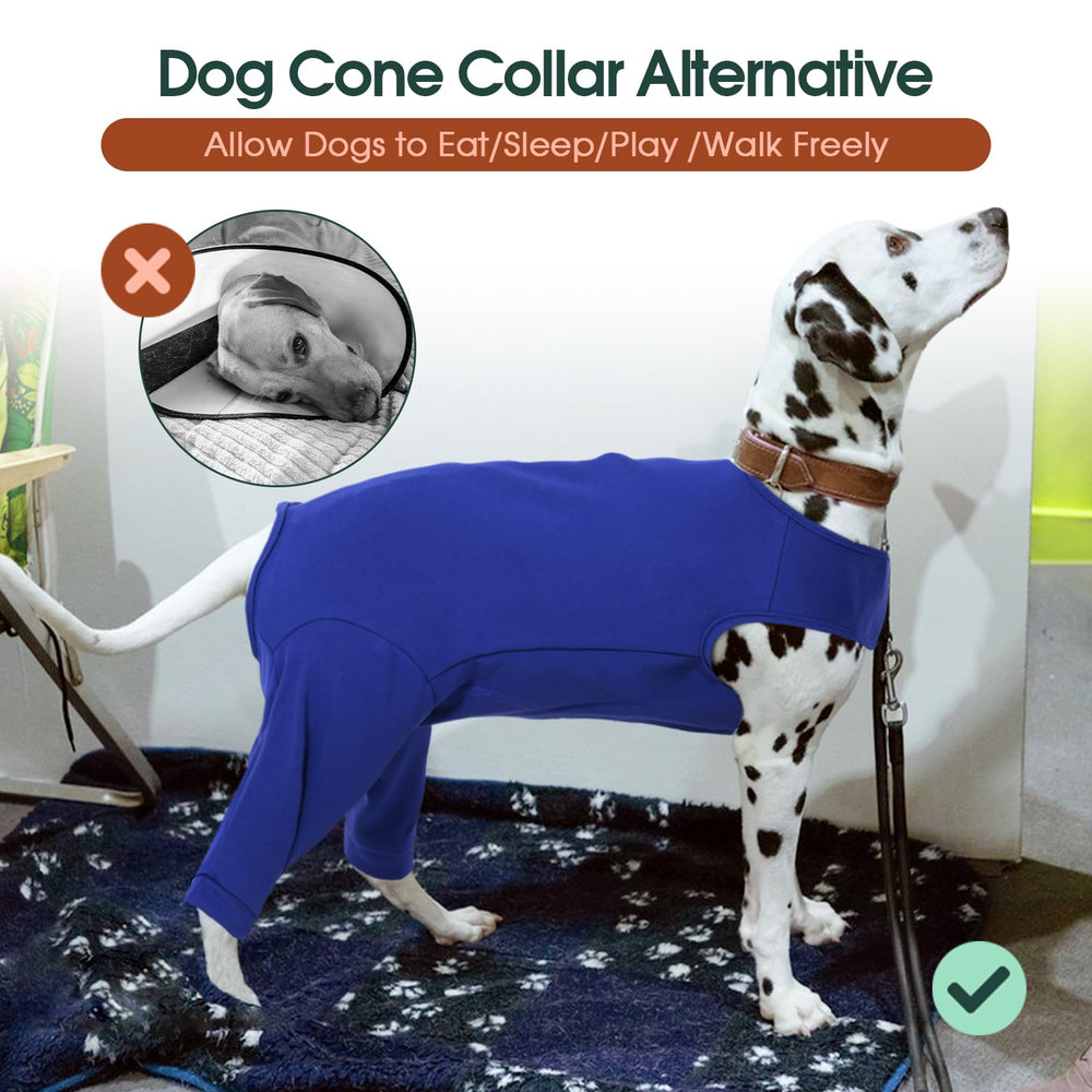 Kuoser seven-size range ensures a snug fit for many breeds