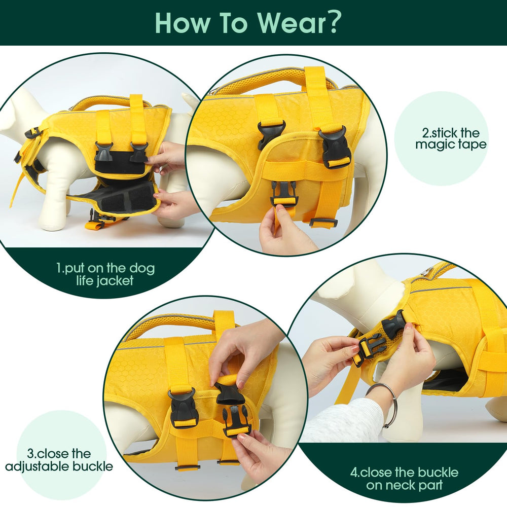 Kuoser size range XS to XXL fits many breeds.