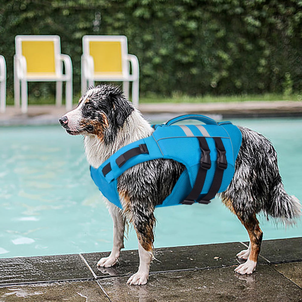 Kuoser size guide helps select the right fit for medium dogs.