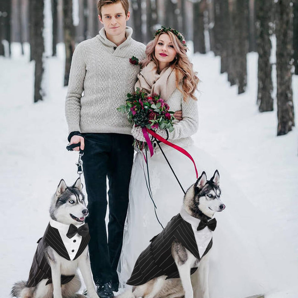Kuoser size range on dog model shows versatile fit
