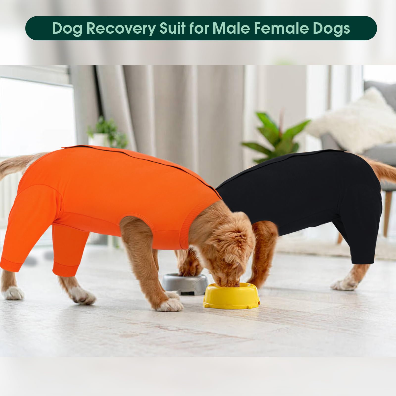 Kuoser skin protection dog recovery suit offers reliable coverage during healing.