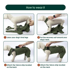 Kuoser spay-neuter suit abdomen coverage demonstrates full-area healing protection.