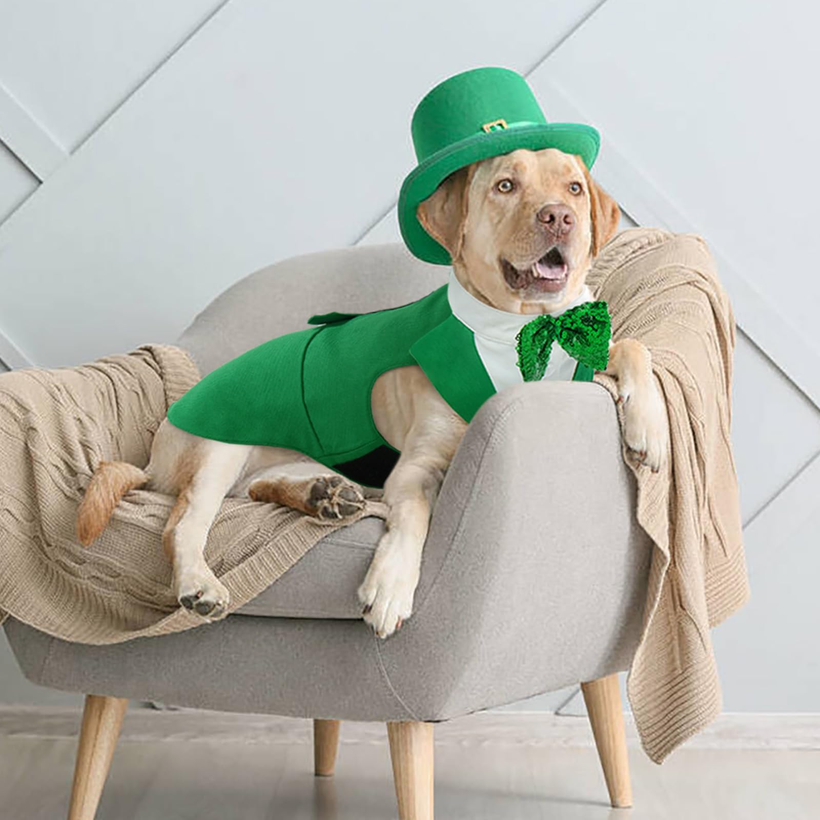 Kuoser St. Patrick's Day dog wearing bandana for coordinated wedding party style.