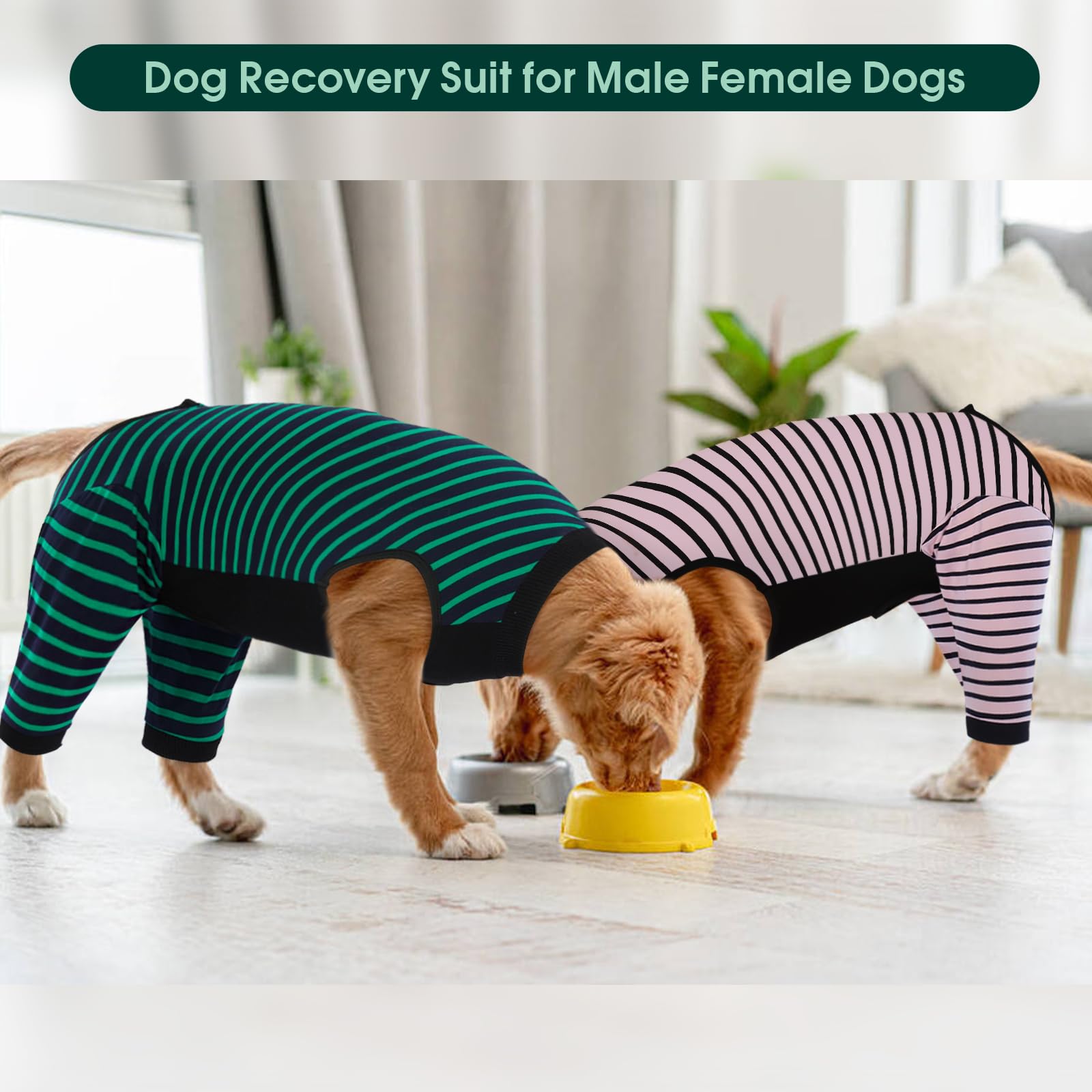 Kuoser recovery suit doubles as sterilization or weaning attire.