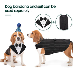 Kuoser tuxedo buttons detail on dog portrait