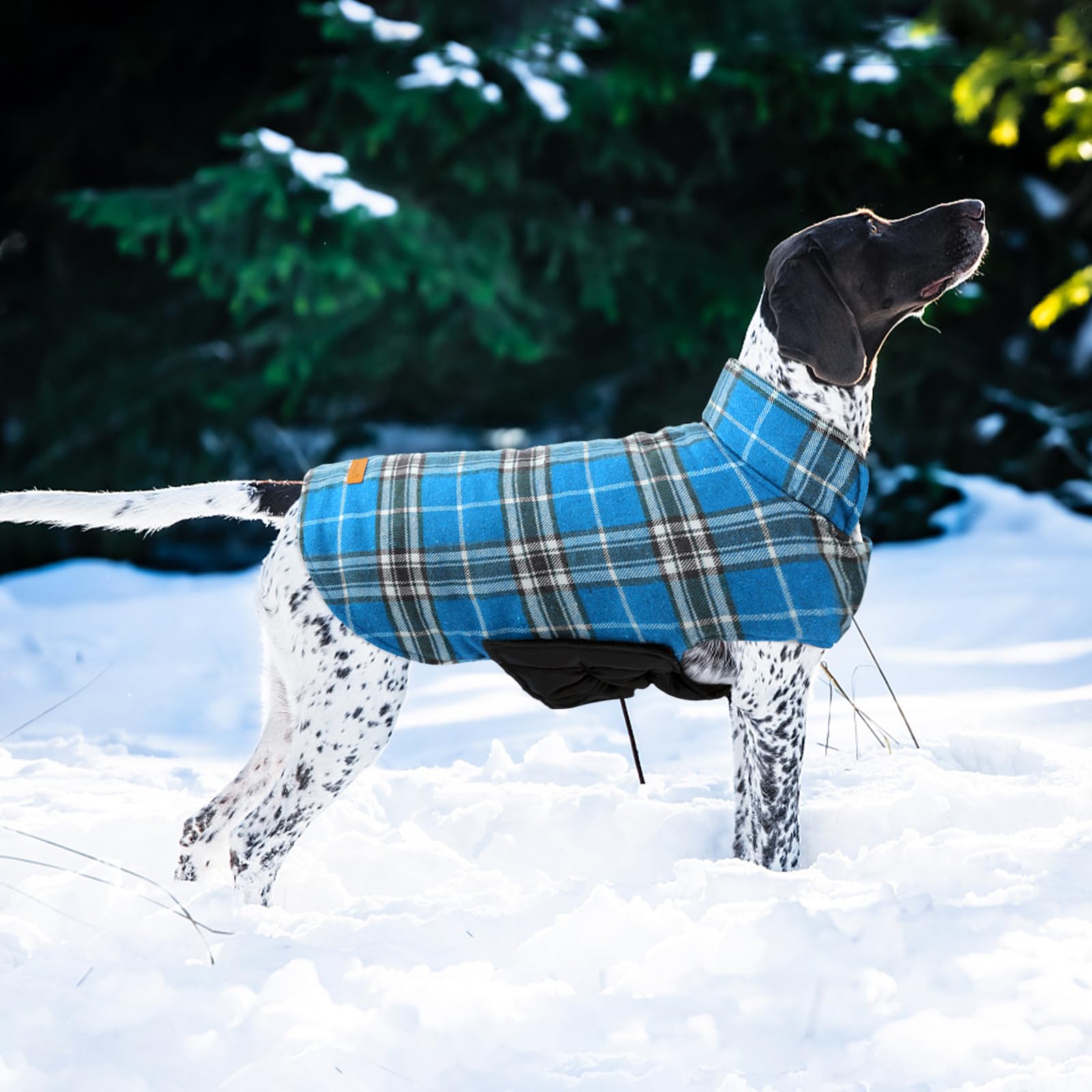 Kuoser Warm Dog Coat adjustable magic stickers for secure fit