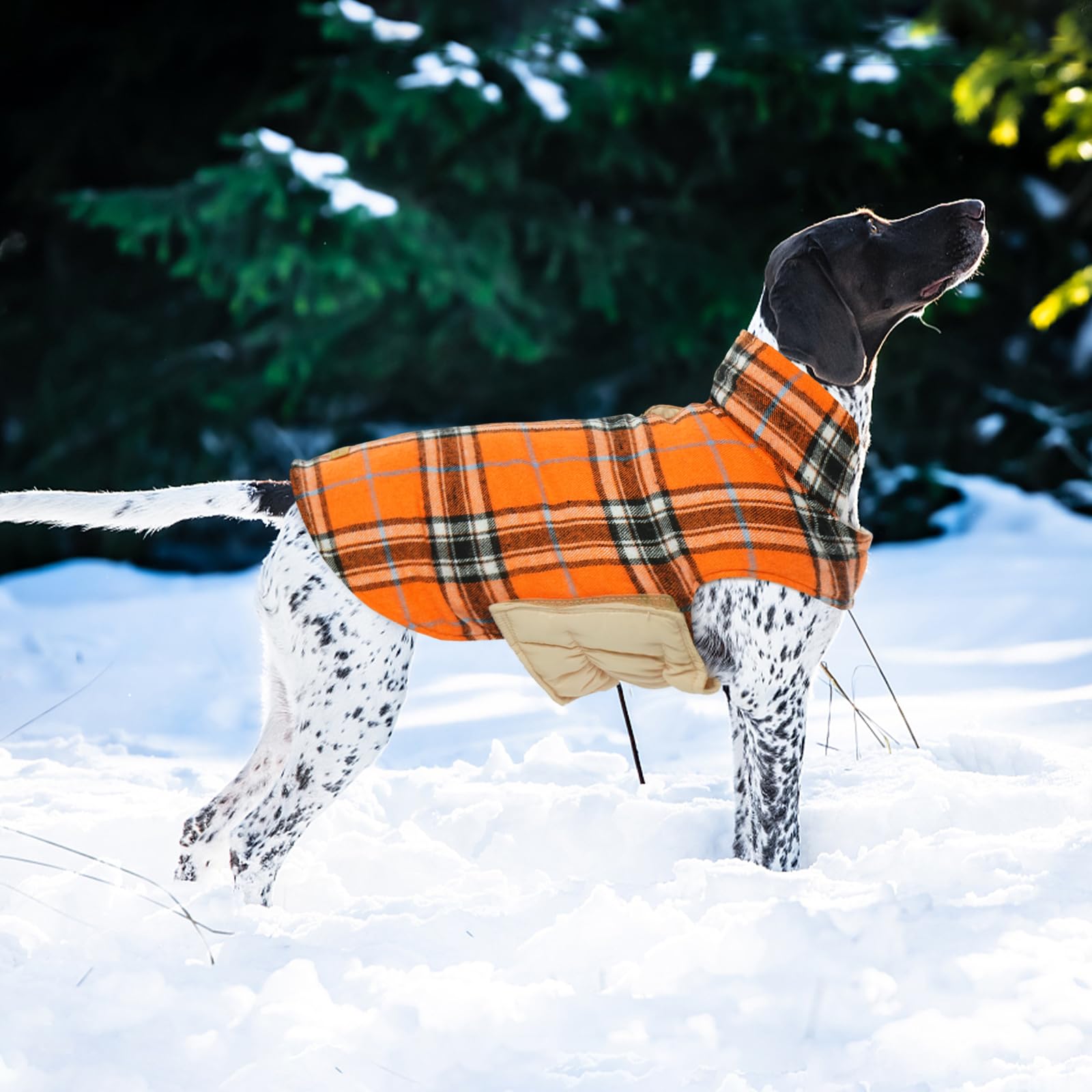 Kuoser adjustable straps ensure snug fit around chest for comfortable wear