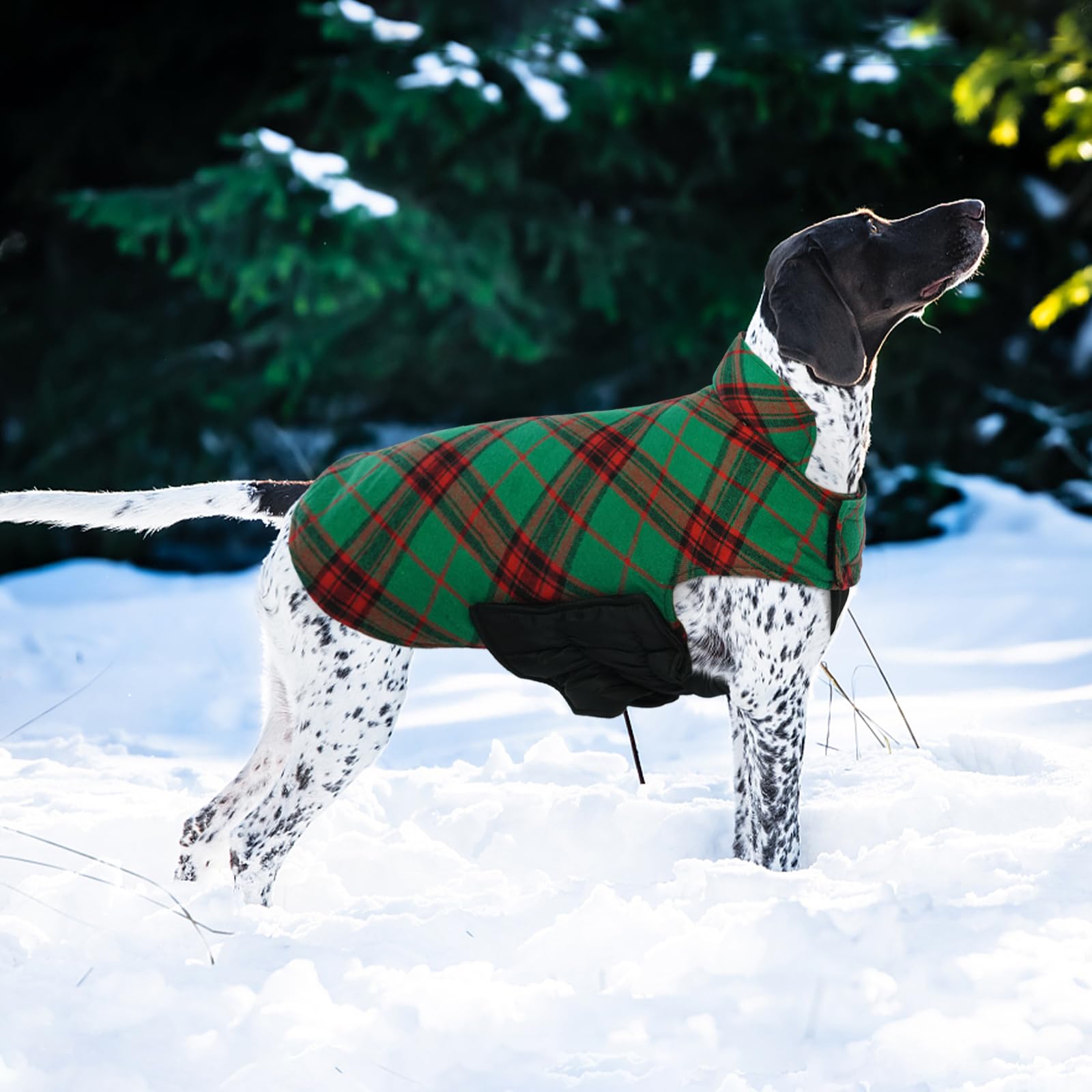 Kuoser warm dog coat leash hole detail aids safe leash walks.