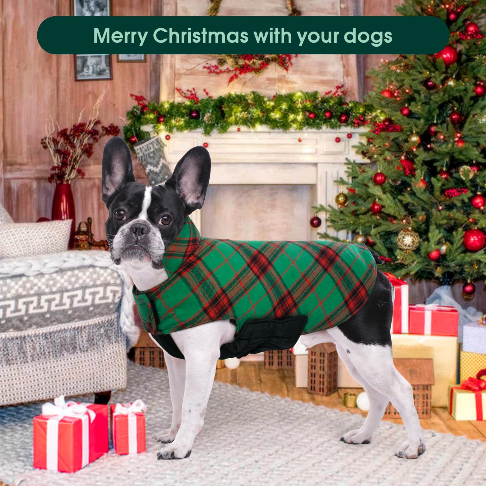 Kuoser warm dog coat plaid pattern adds festive style for holidays.
