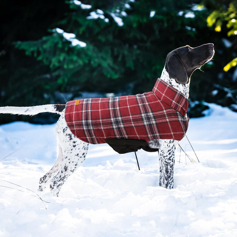 Kuoser warm dog coat vintage British plaid pattern looks stylish