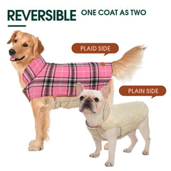 Kuoser adjustable straps ensure a secure, comfortable fit for growing dogs
