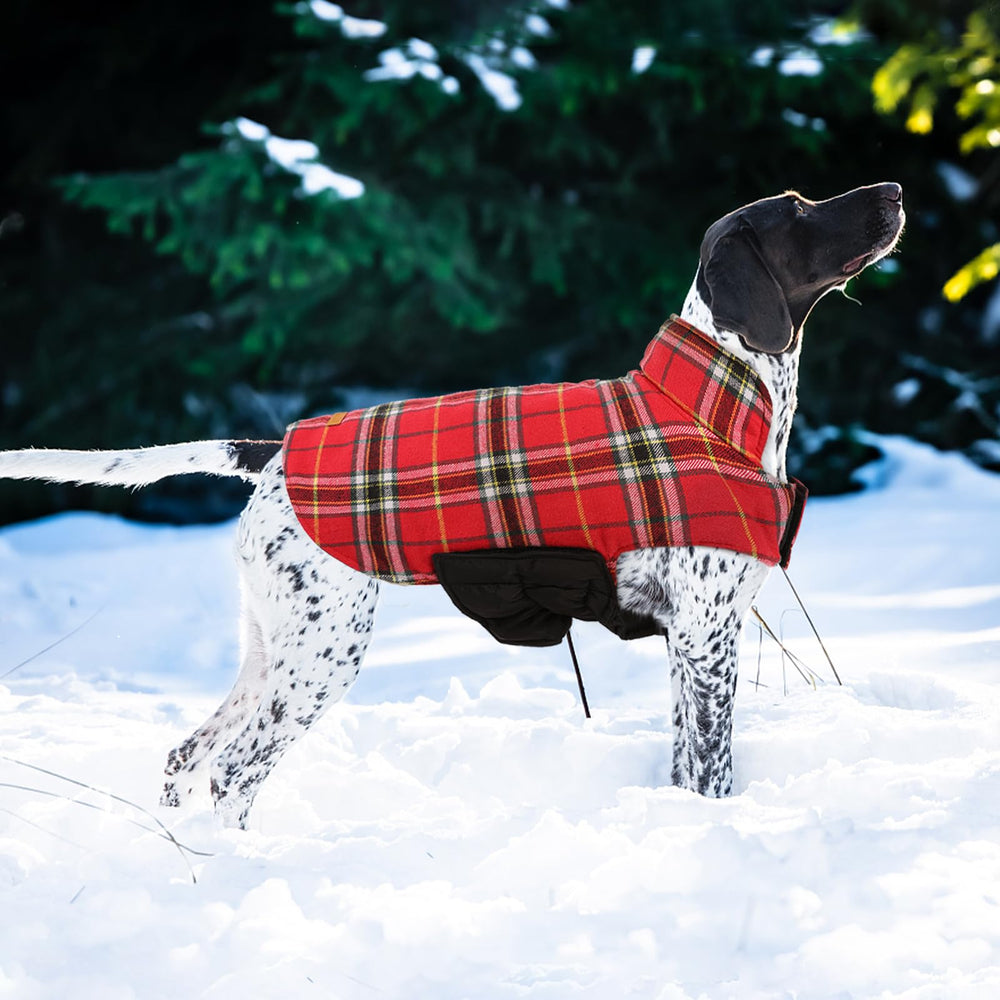 Kuoser coat windproof and waterproof material withstands rain and wind