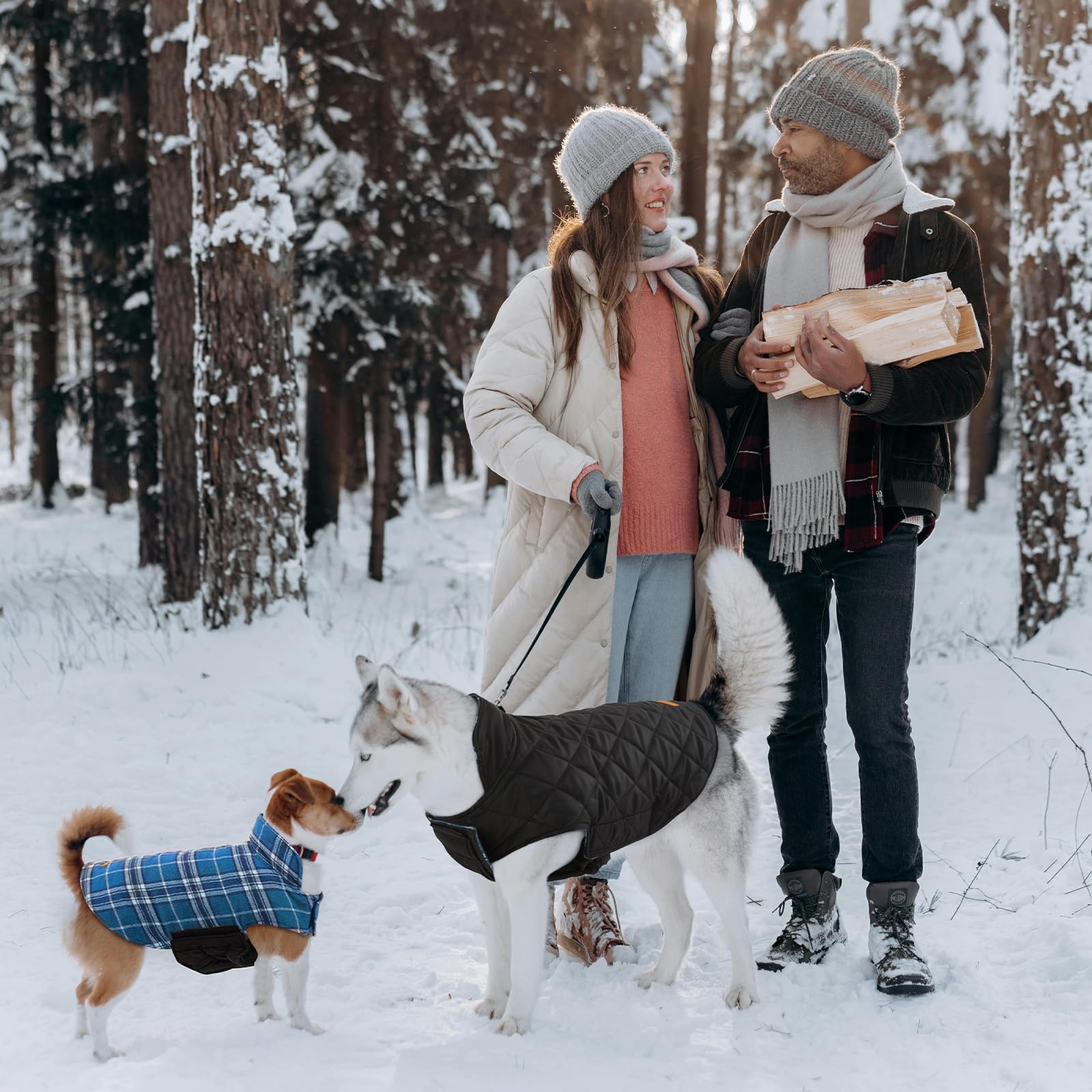 Kuoser dog coat on walking dog in winter setting