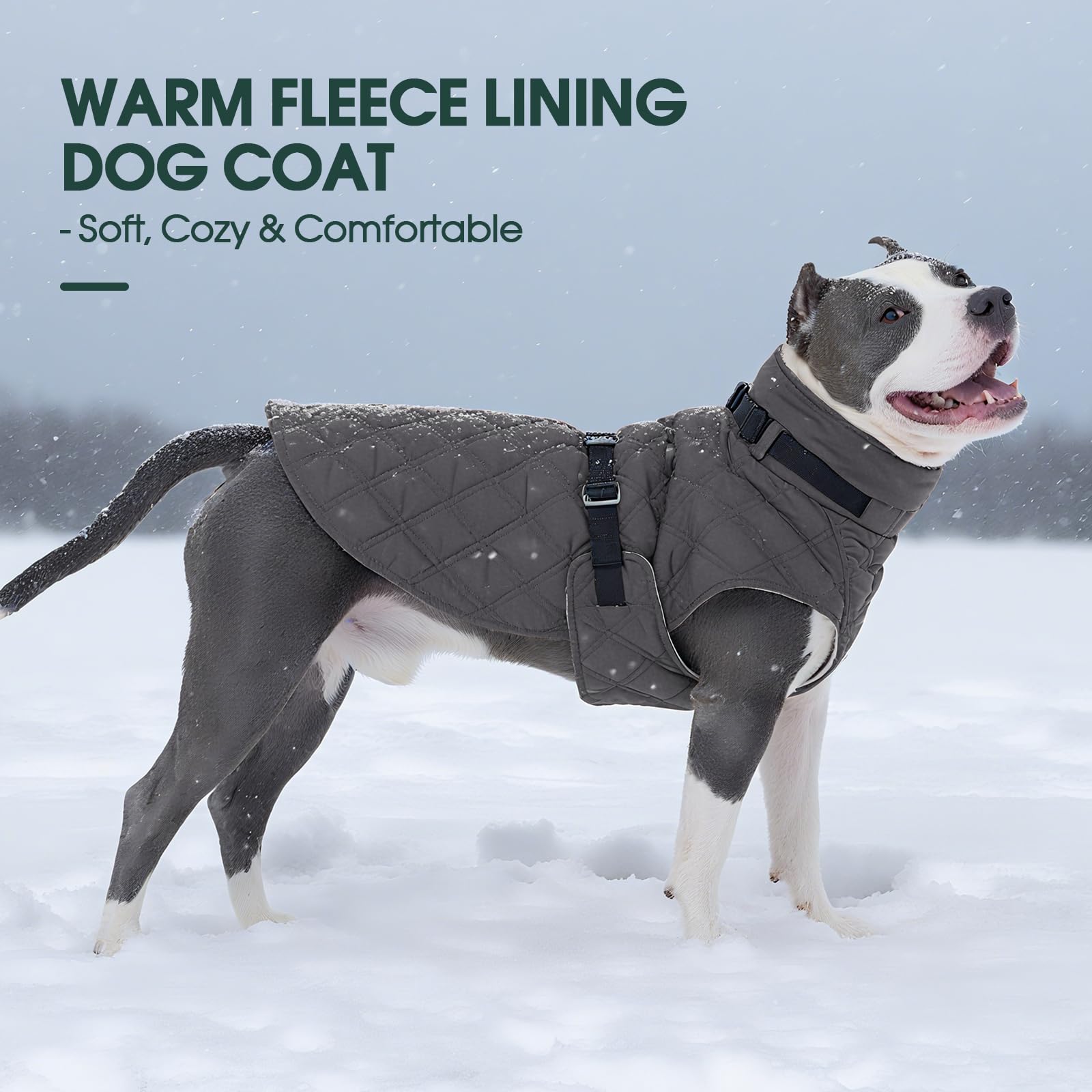 Kuoser waterproof snow jacket scene keeps dog dry in winter conditions.