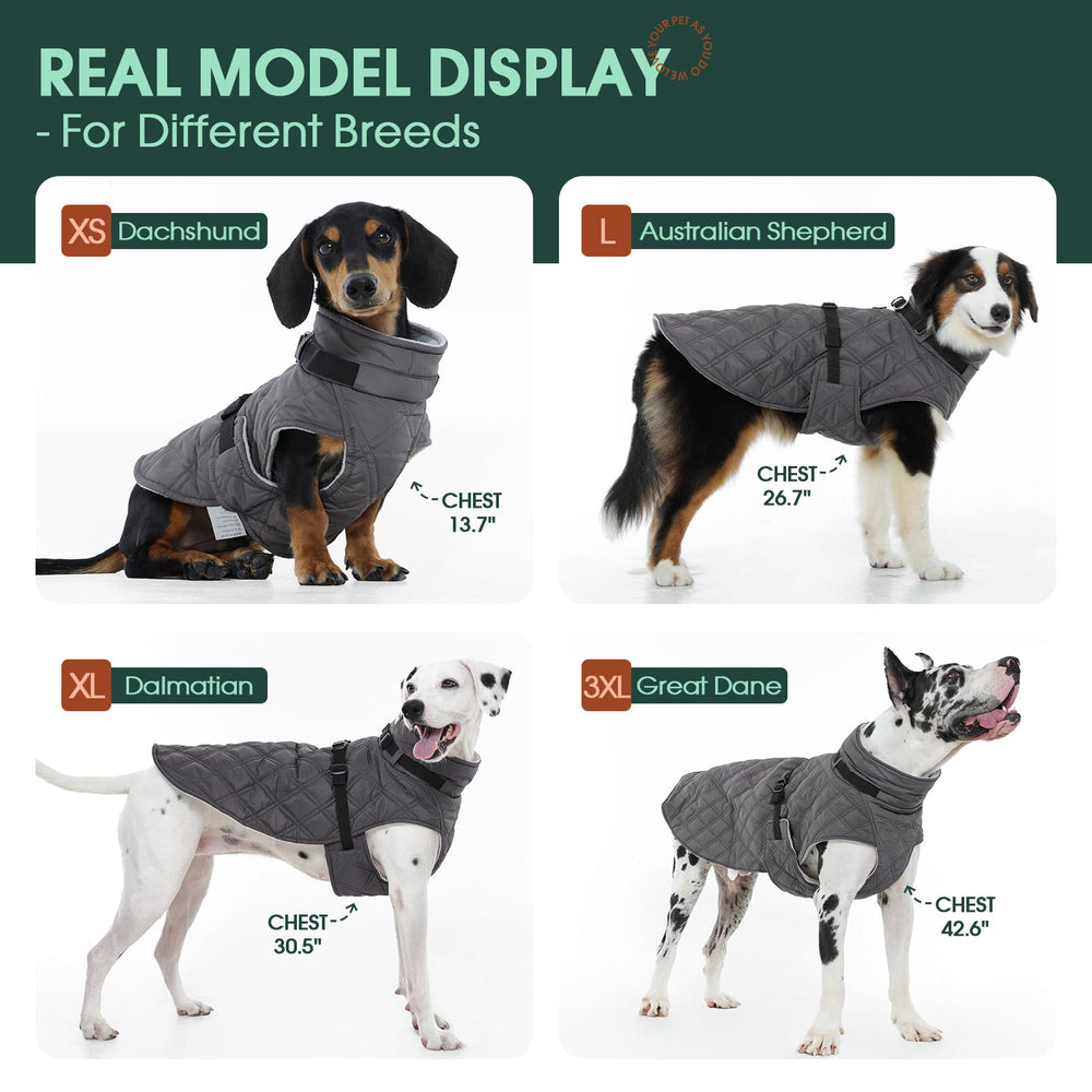 Kuoser windproof dog coat during an outdoor walk keeps warmth intact.