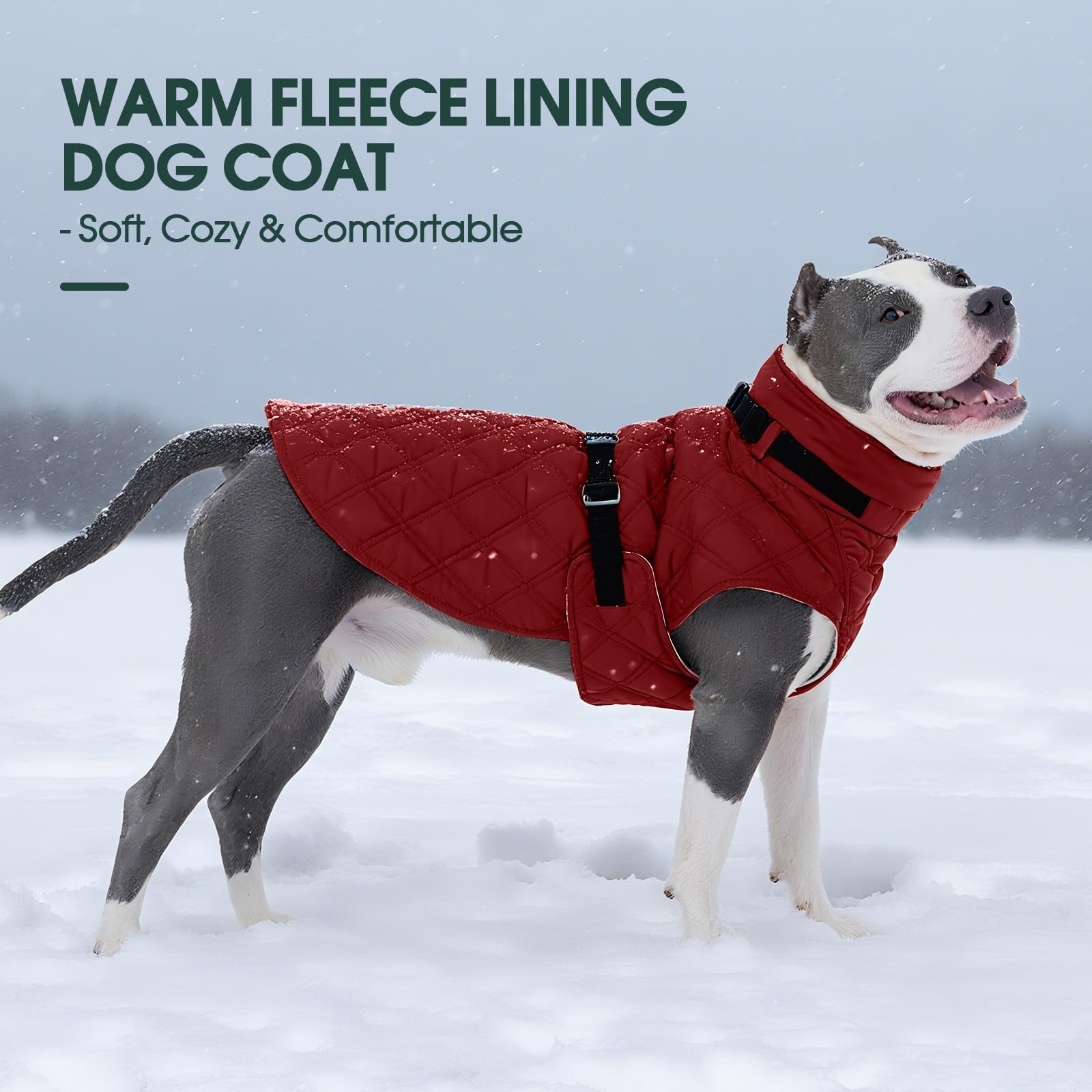 Kuoser winter fleece vest fits all breeds, from chihuahuas to Great Danes