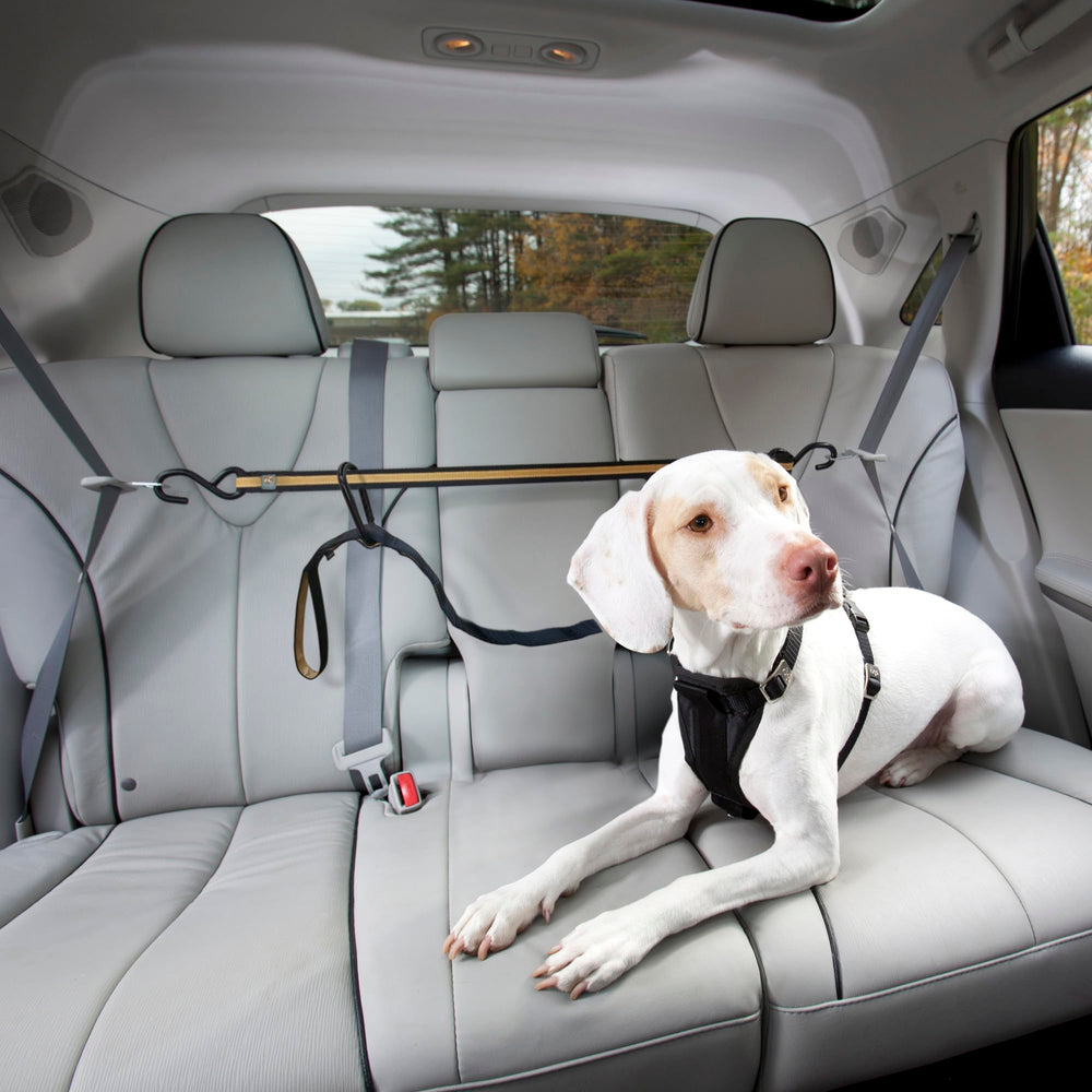 Kurgo Auto Zip Line durable steel hardware ensures long-lasting vehicle safety.