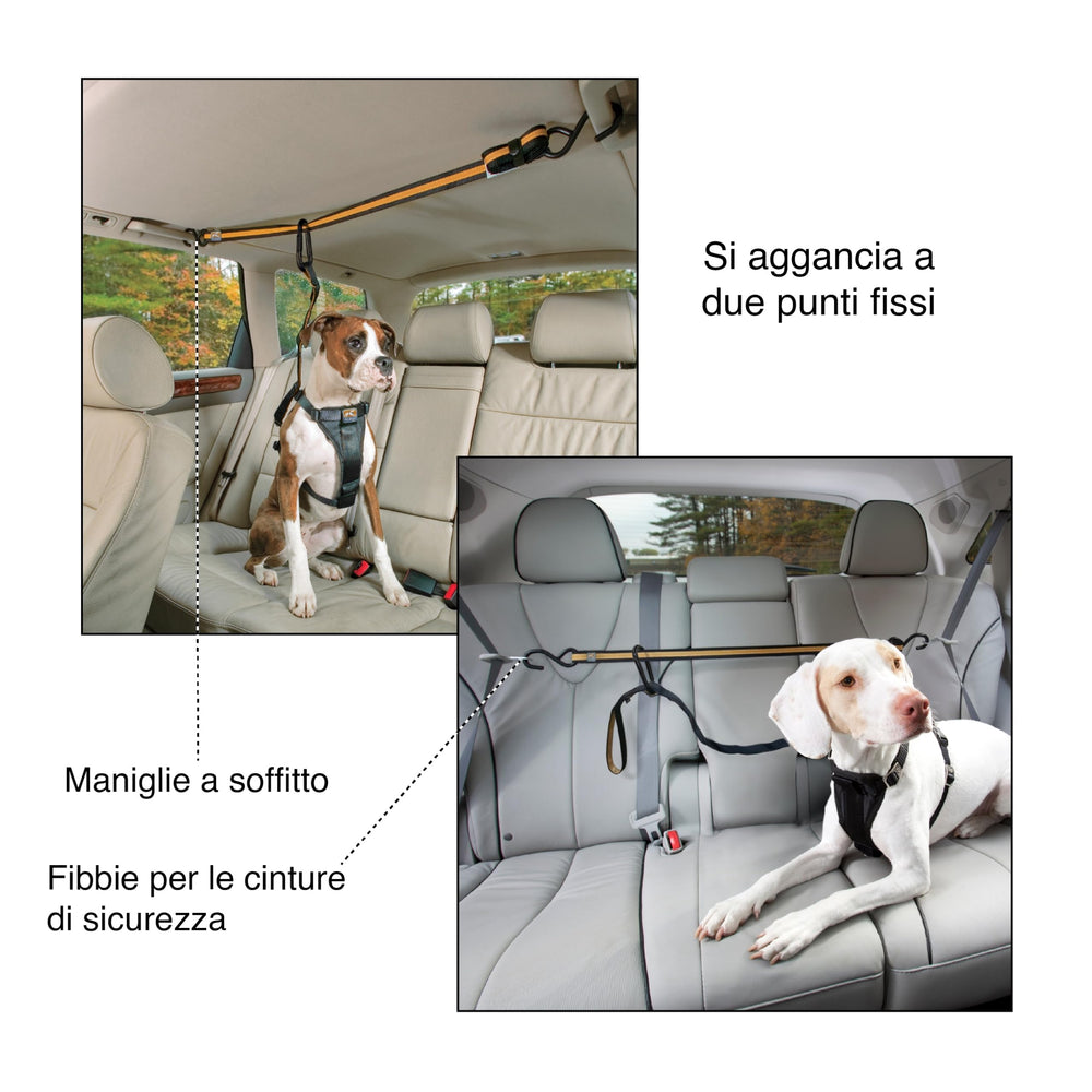 Kurgo Auto Zip Line short lead for easy in-out transitions.