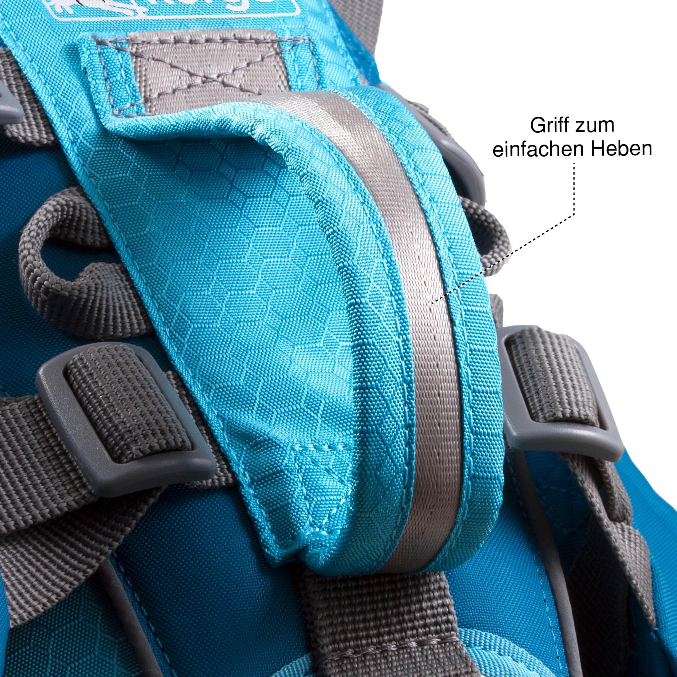 Kurgo Big Baxter reflective trim enhances safety in low light during dawn or dusk walks.