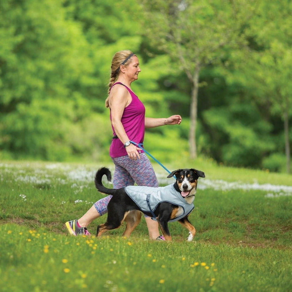 Kurgo Dog Core Cooling Vest in grey fabric provides breathable comfort on trails.