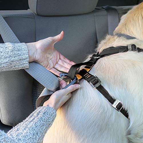 Kurgo all-steel buckles ensure lasting reliability in rugged adventures.
