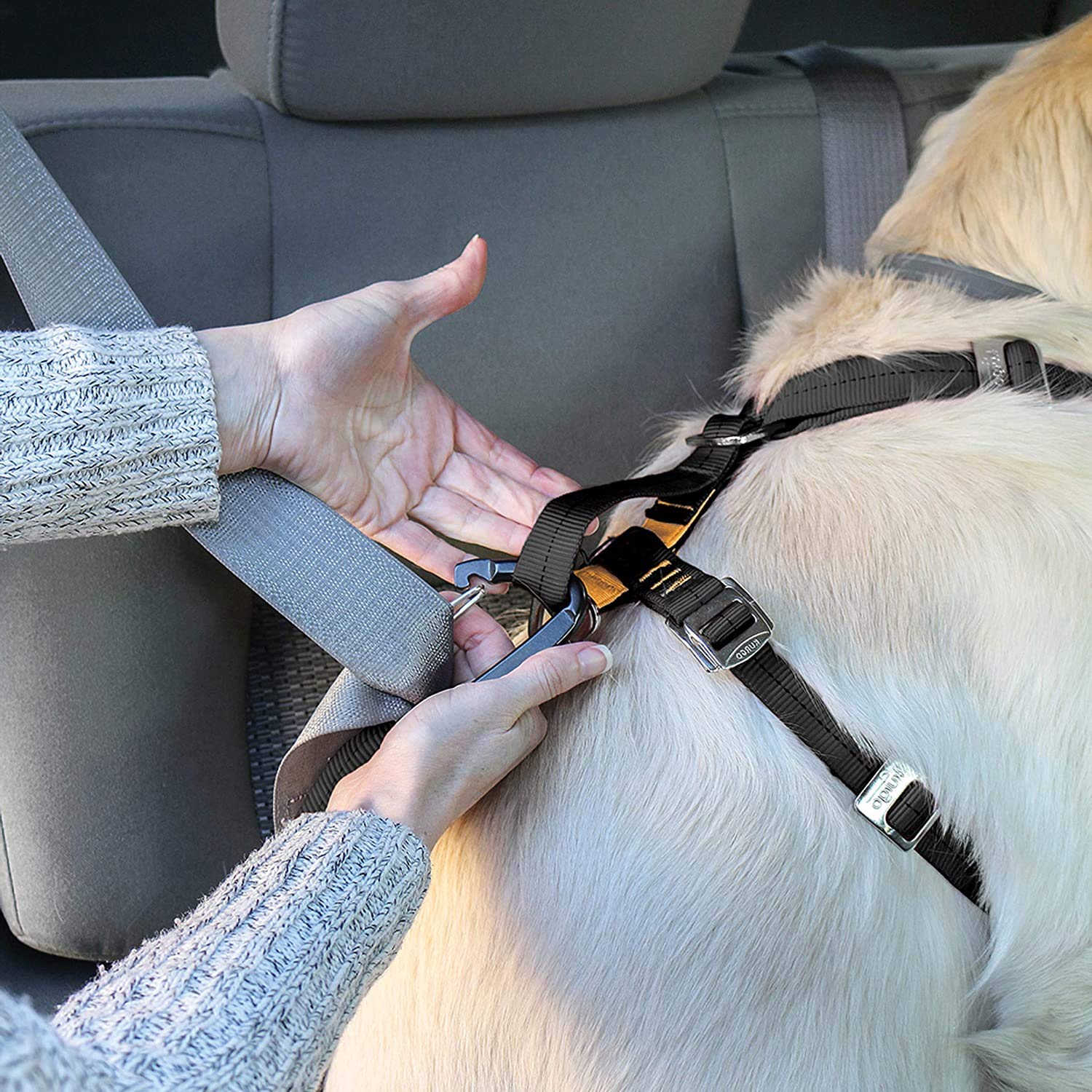 Kurgo crash-test badge signals certified safety for dog car journeys.