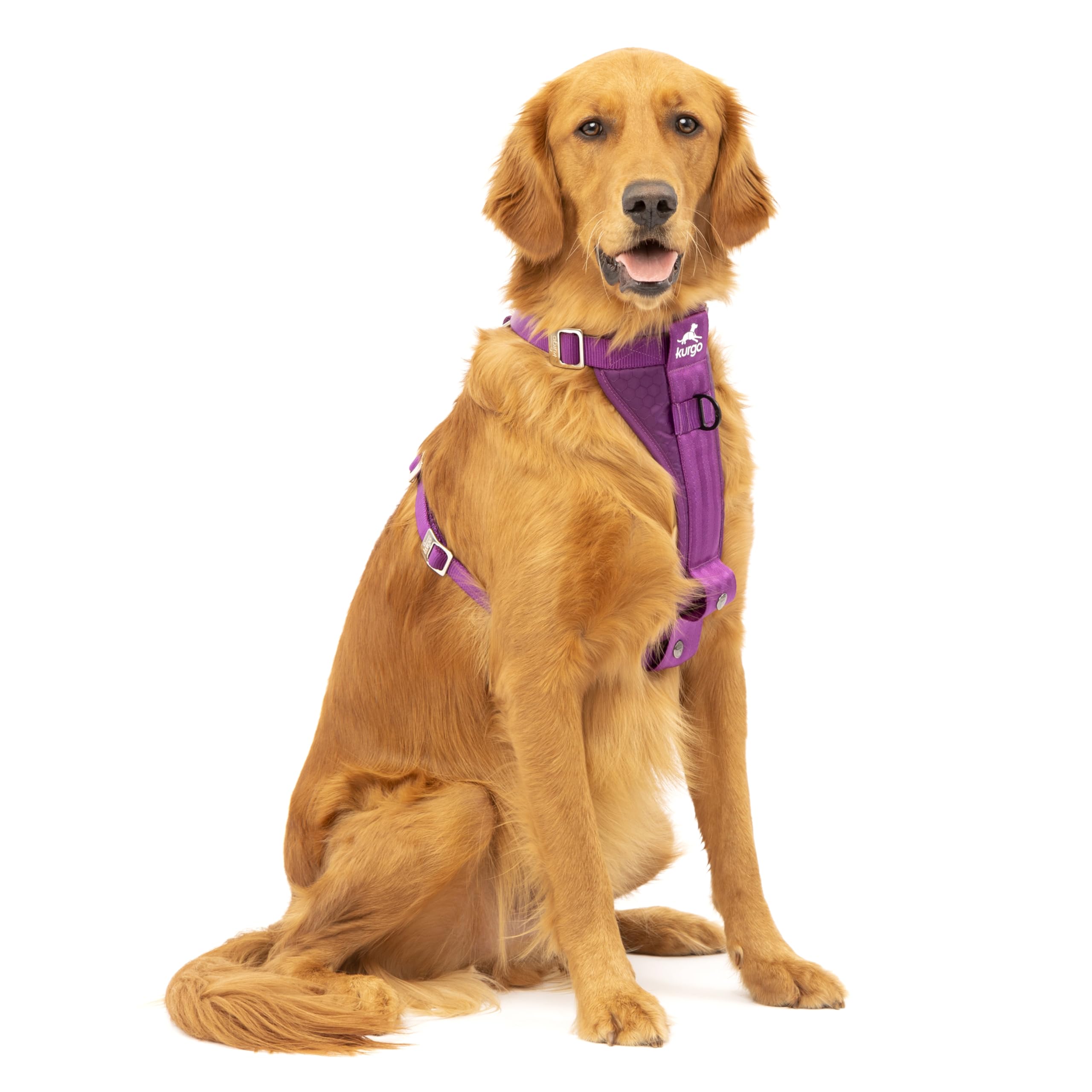 Kurgo Enhanced Strength Tru-Fit dog car harness close-up of buckle for secure car rides