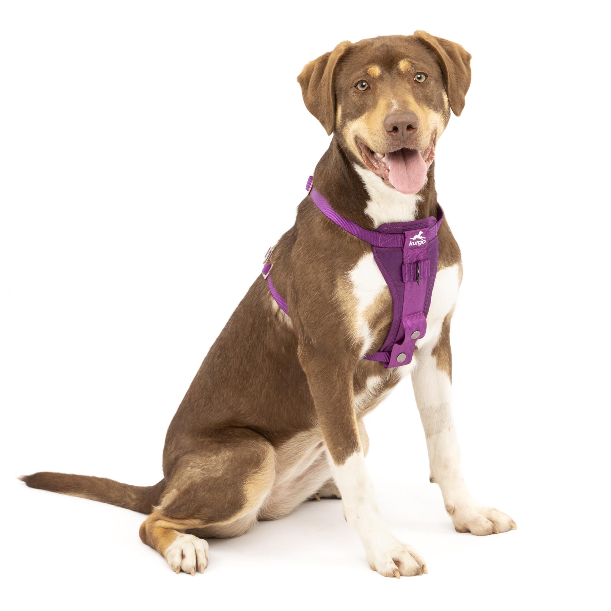 Kurgo Enhanced Strength Tru-Fit dog car harness front view for safe car rides