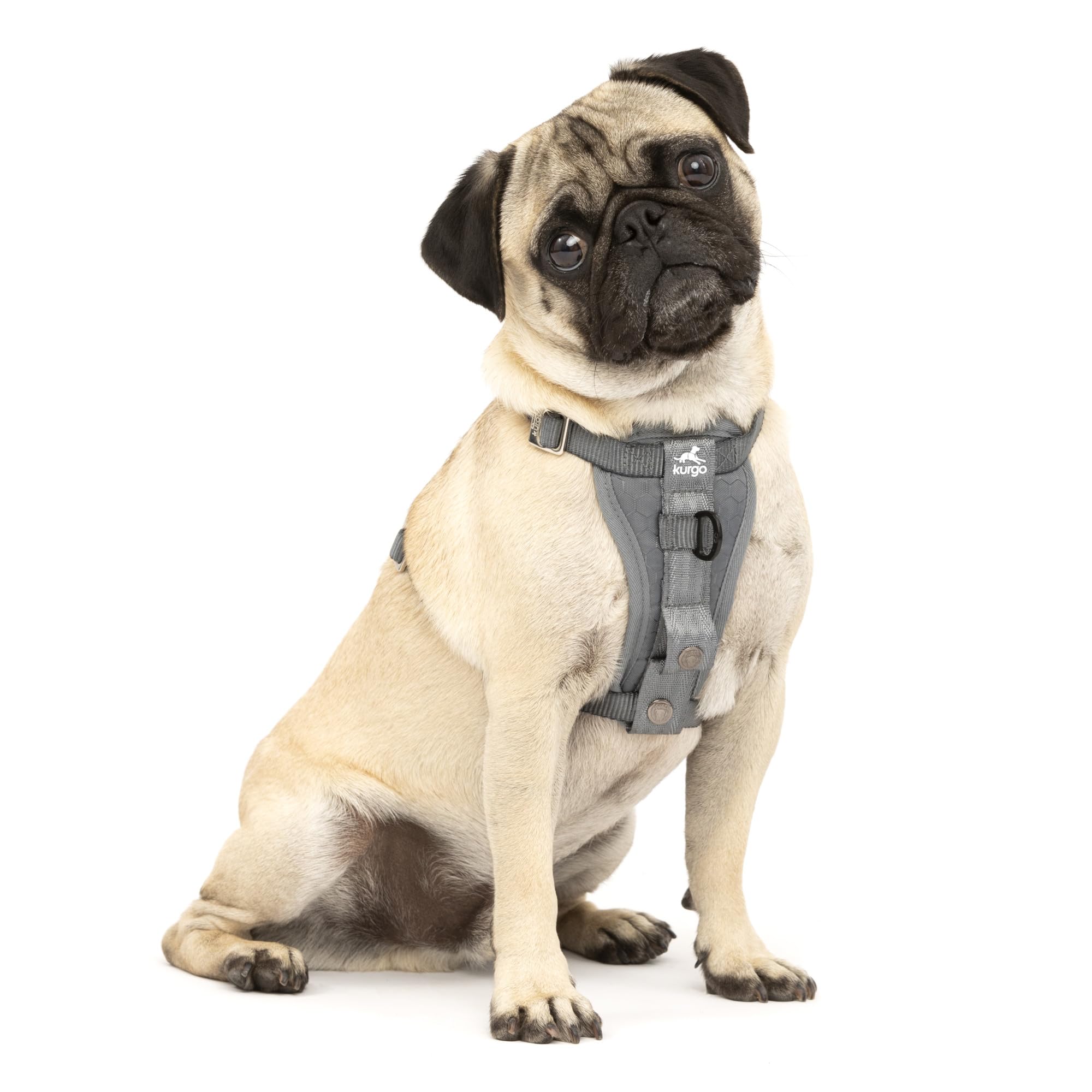 Kurgo Enhanced Strength Tru-Fit harness back view shows secure fit for travel