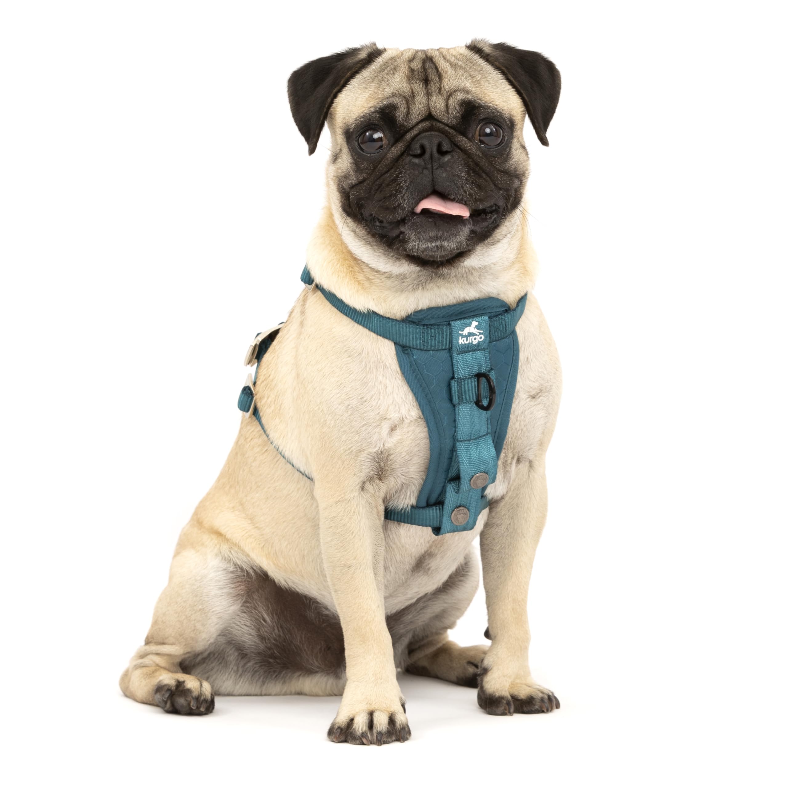 Kurgo Enhanced Strength Tru-Fit back-clip harness for secure daily walks