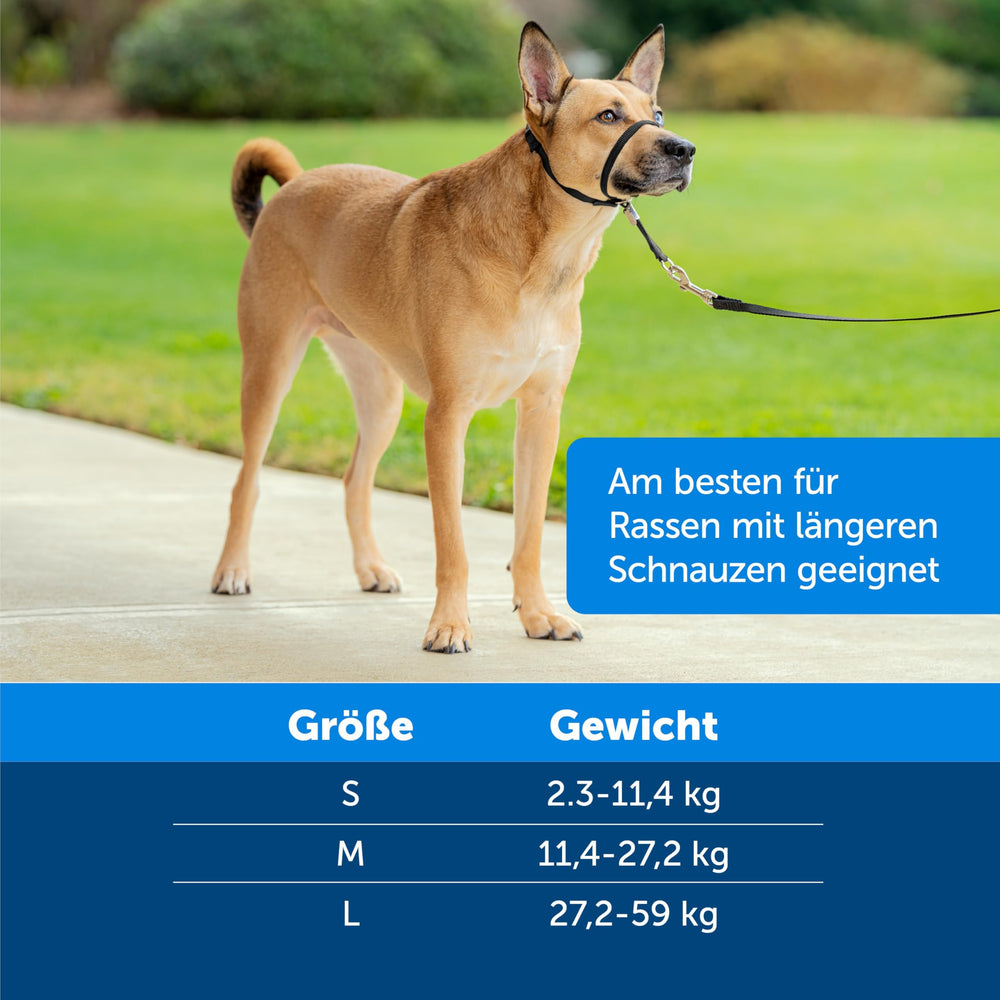 Kurgo dual-leash attachments enable easy walks and no-pull training