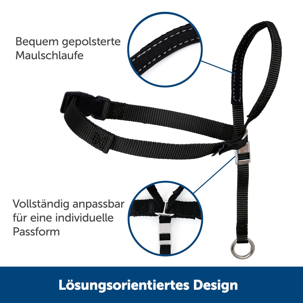 Kurgo seatbelt-tether with carabiner for quick car travel setup