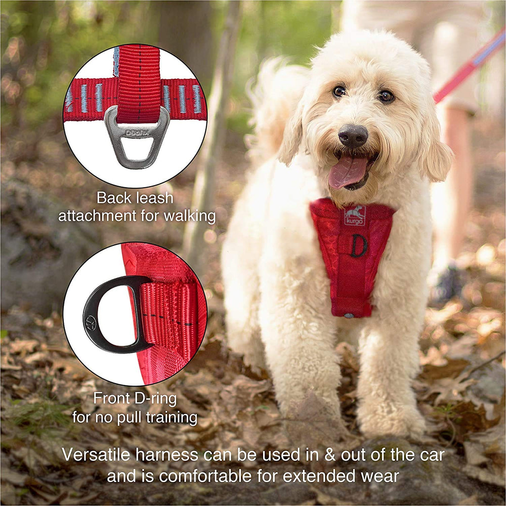 Kurgo Enhanced Strength Tru-Fit harness padded chest for comfortable movement during travel.