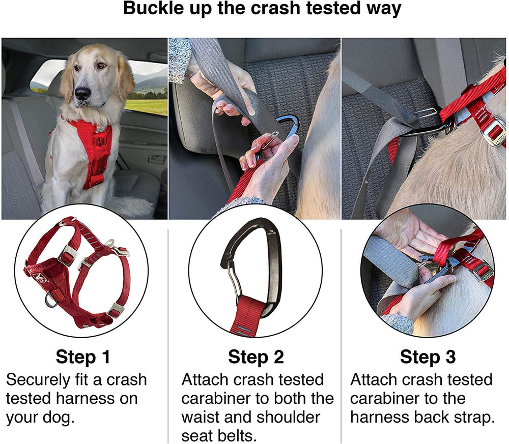 Kurgo Enhanced Strength seatbelt tether shows quick, secure car attachment for safer rides.
