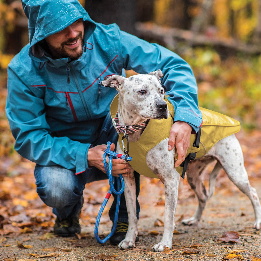 Kurgo Halifax Rain Shell back coverage highlights rain protection for all adventures.