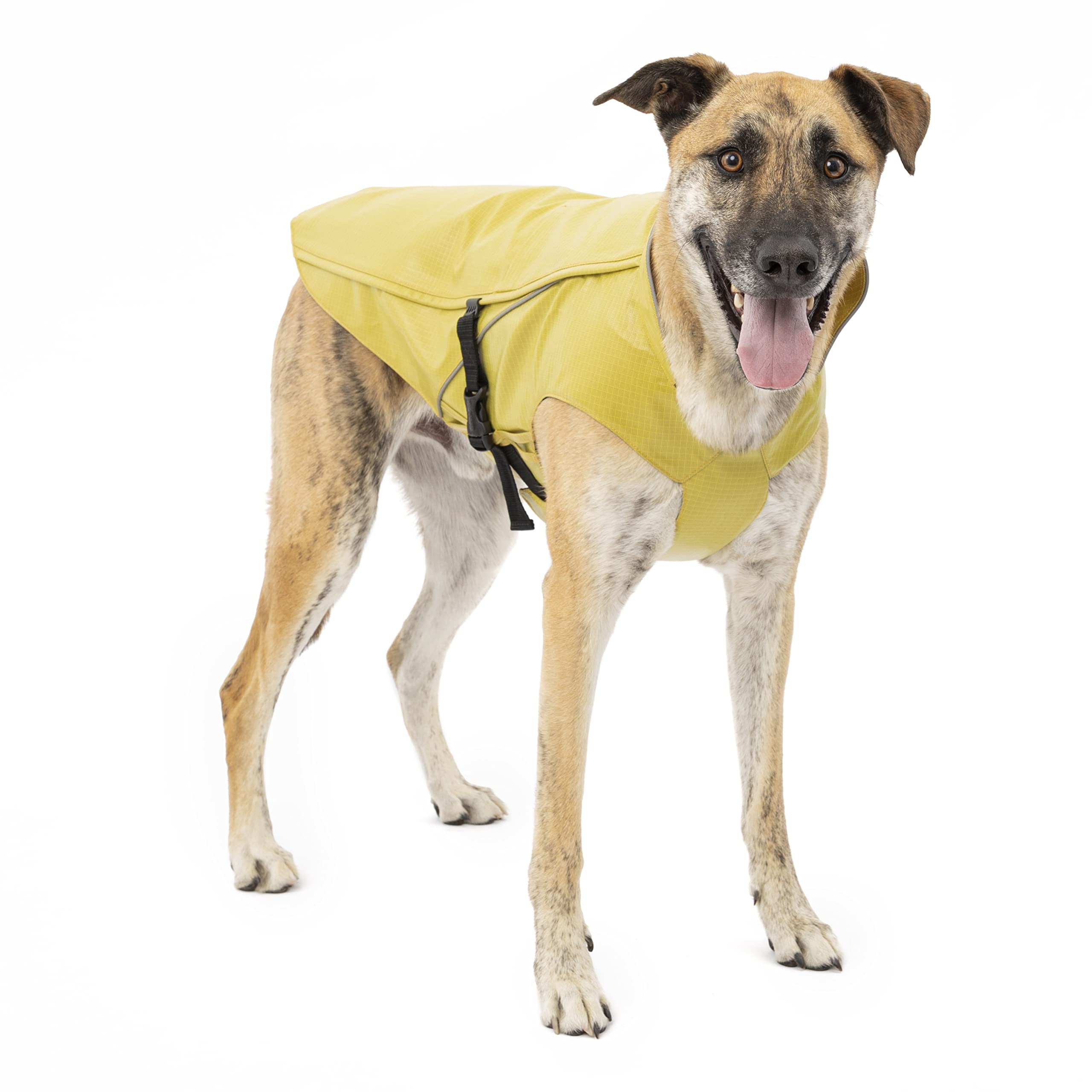 Kurgo Halifax Rain Shell on a small dog in yellow boosts rainy-day comfort