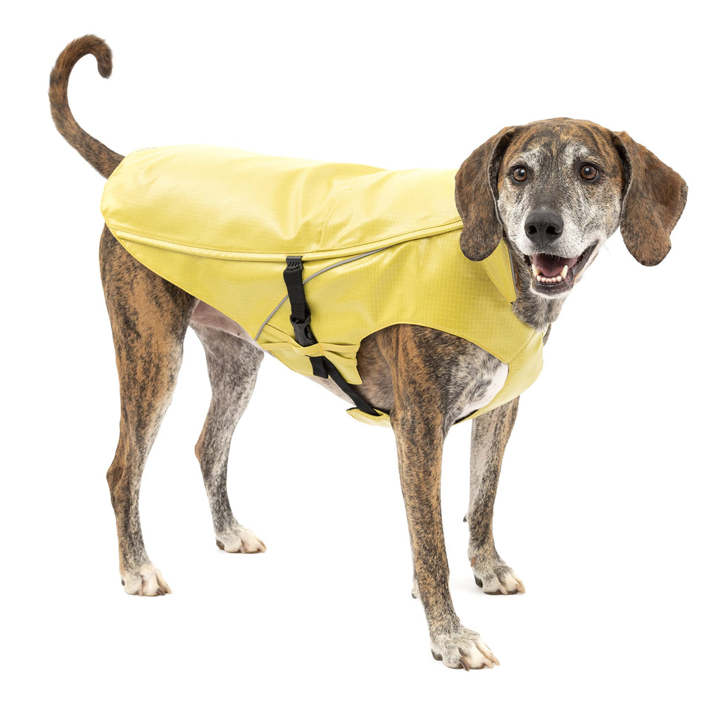 Kurgo Halifax Rain Shell side view showing reflective piping for visibility.