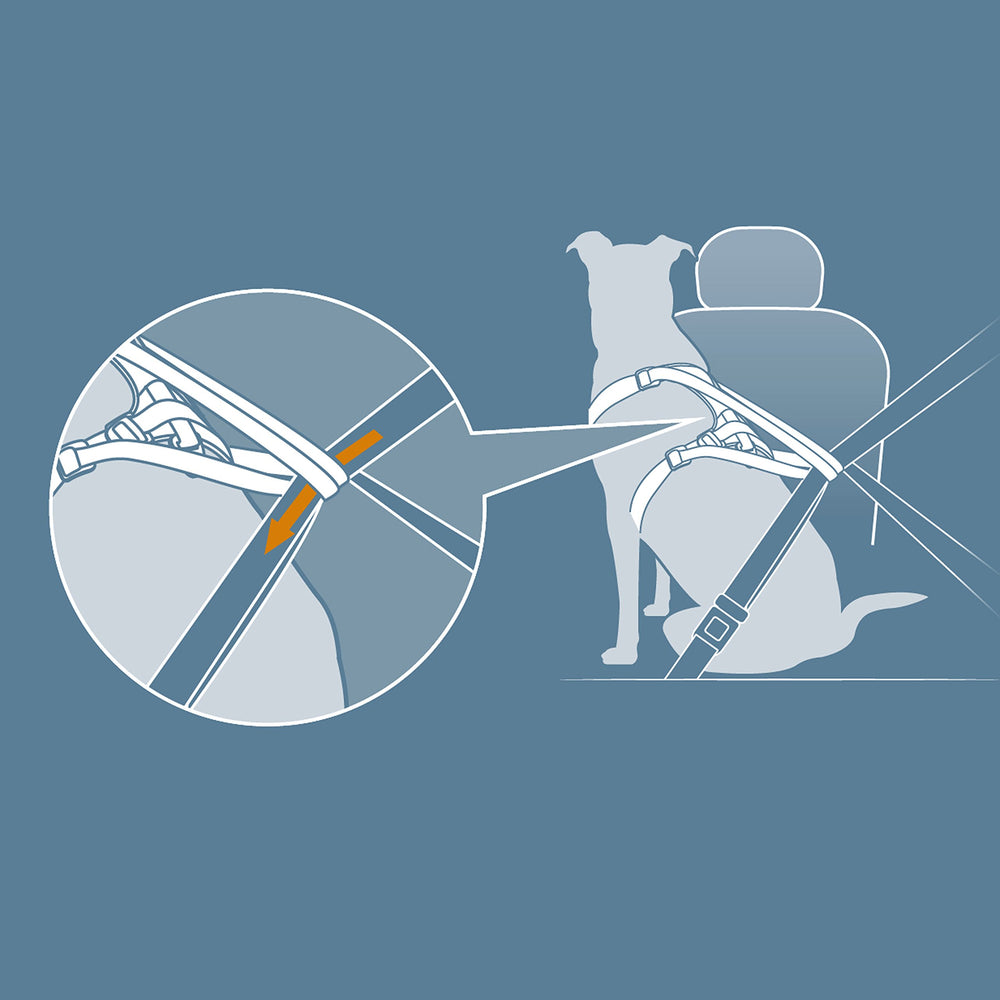 Kurgo Impact Dog Car Harness crash-tested up to 108 lbs for confidence on trips.