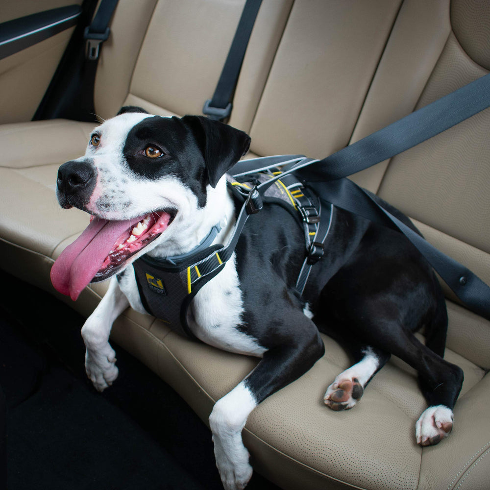 Kurgo Impact Dog Car Harness motion-minimizing fit reduces movement on the road.