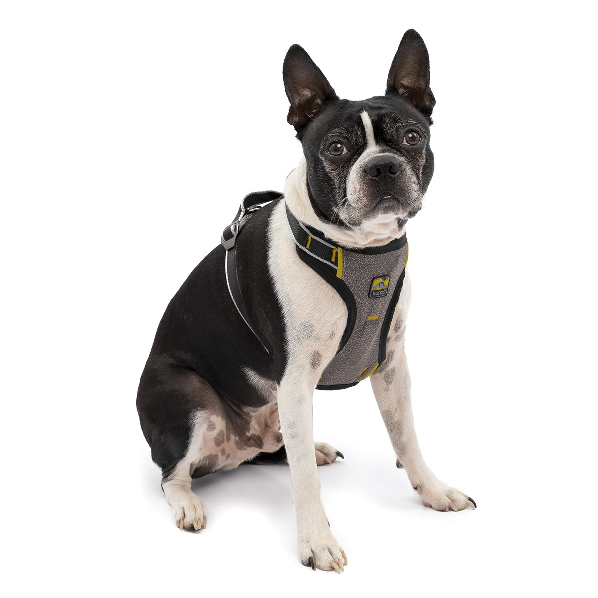 Kurgo Impact Dog Car Harness padded chest for comfortable car rides.