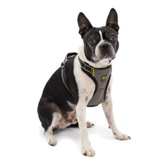 Kurgo Impact Dog Car Harness padded chest for comfortable car rides.