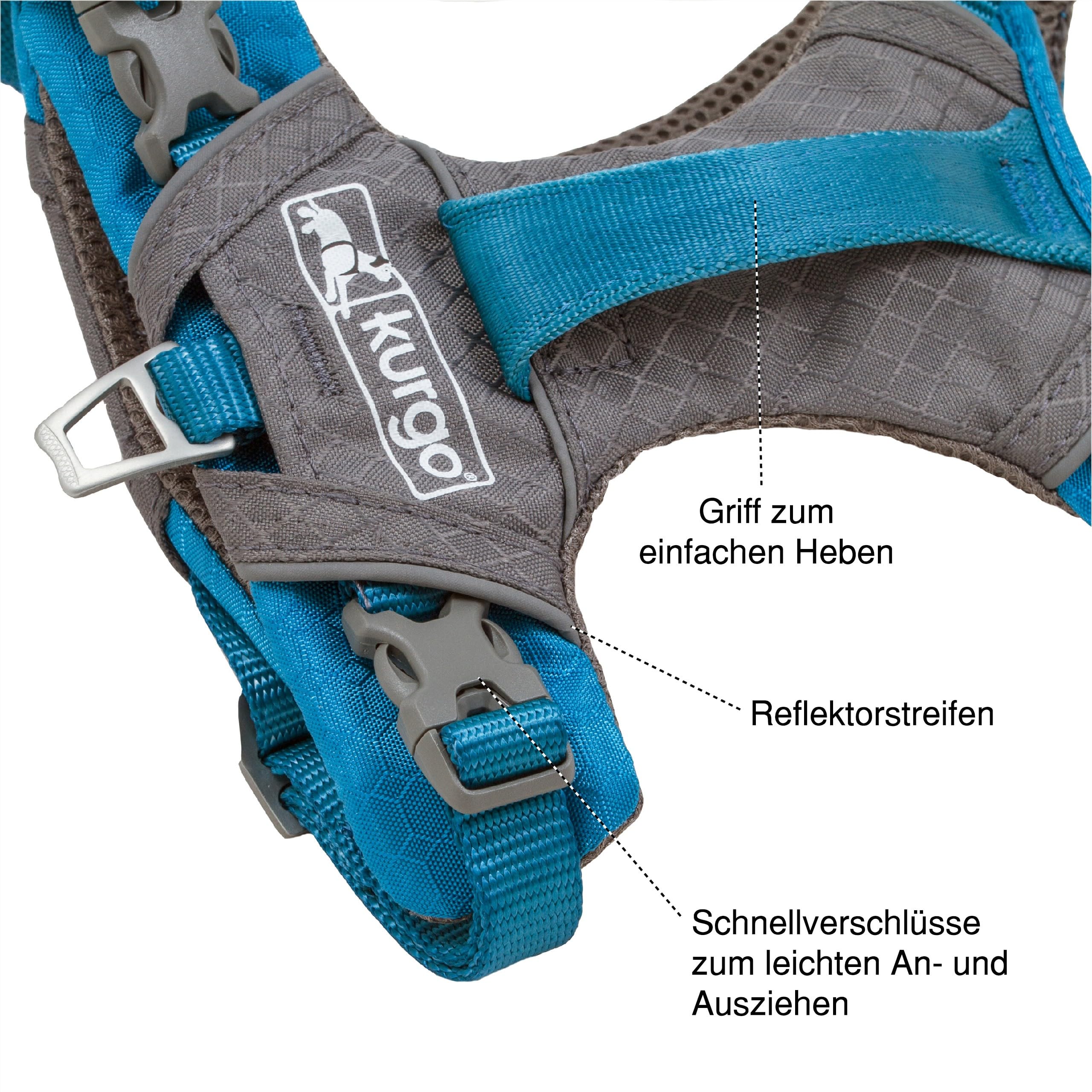 Kurgo Journey Air Harness with reflective trim enhances visibility on evening outings.