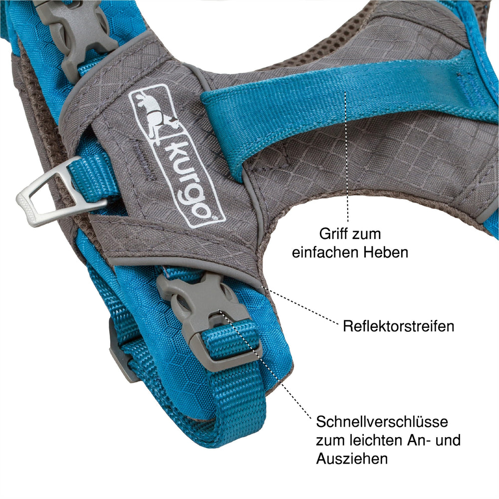 Kurgo Journey Air Harness with reflective trim enhances visibility on evening outings.
