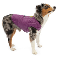 Kurgo Loft Dog Jacket front view showcases weather-ready warmth for outdoor adventures