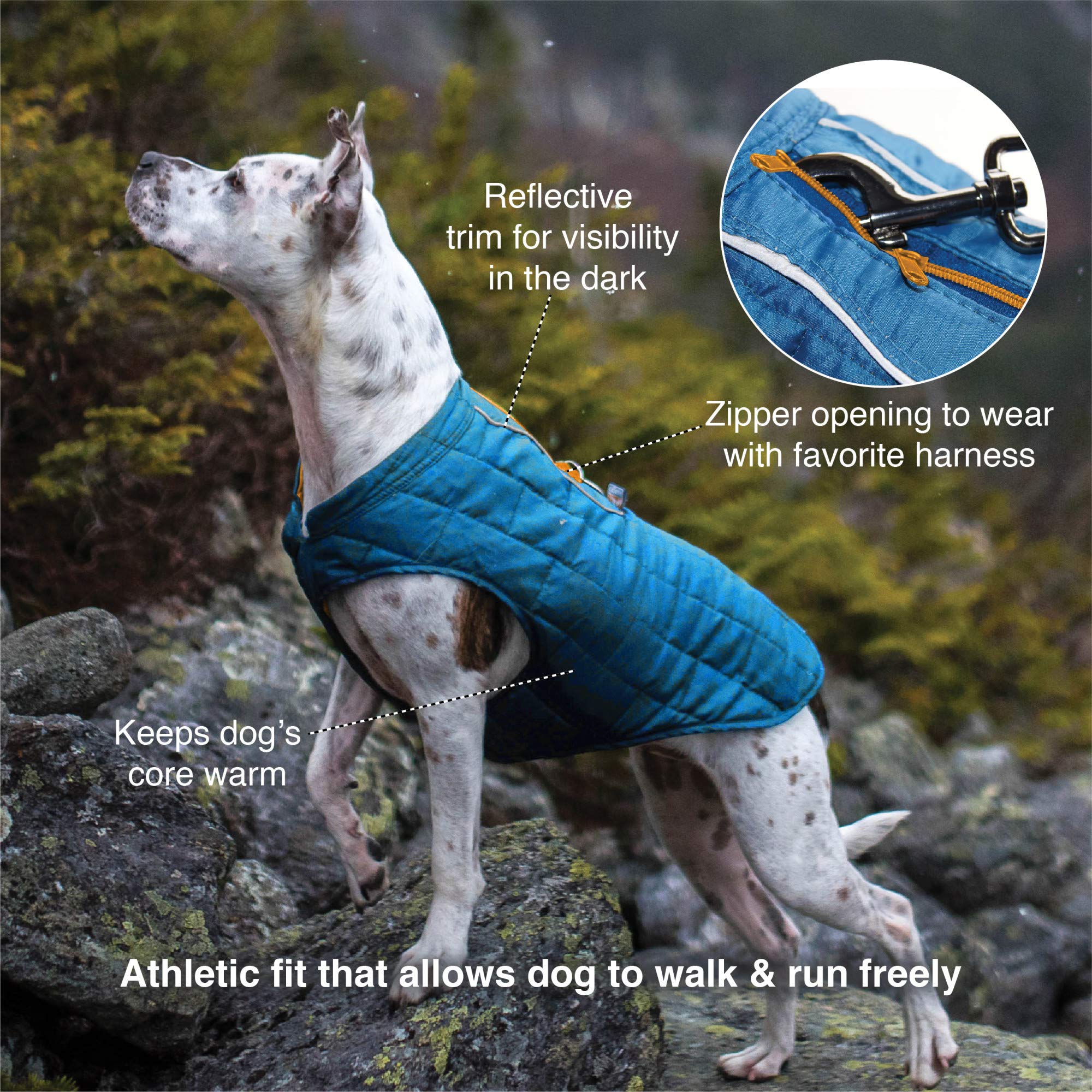Kurgo Loft Dog Jacket Lava Lamp water-resistant shell keeps pups dry on drizzle walks.