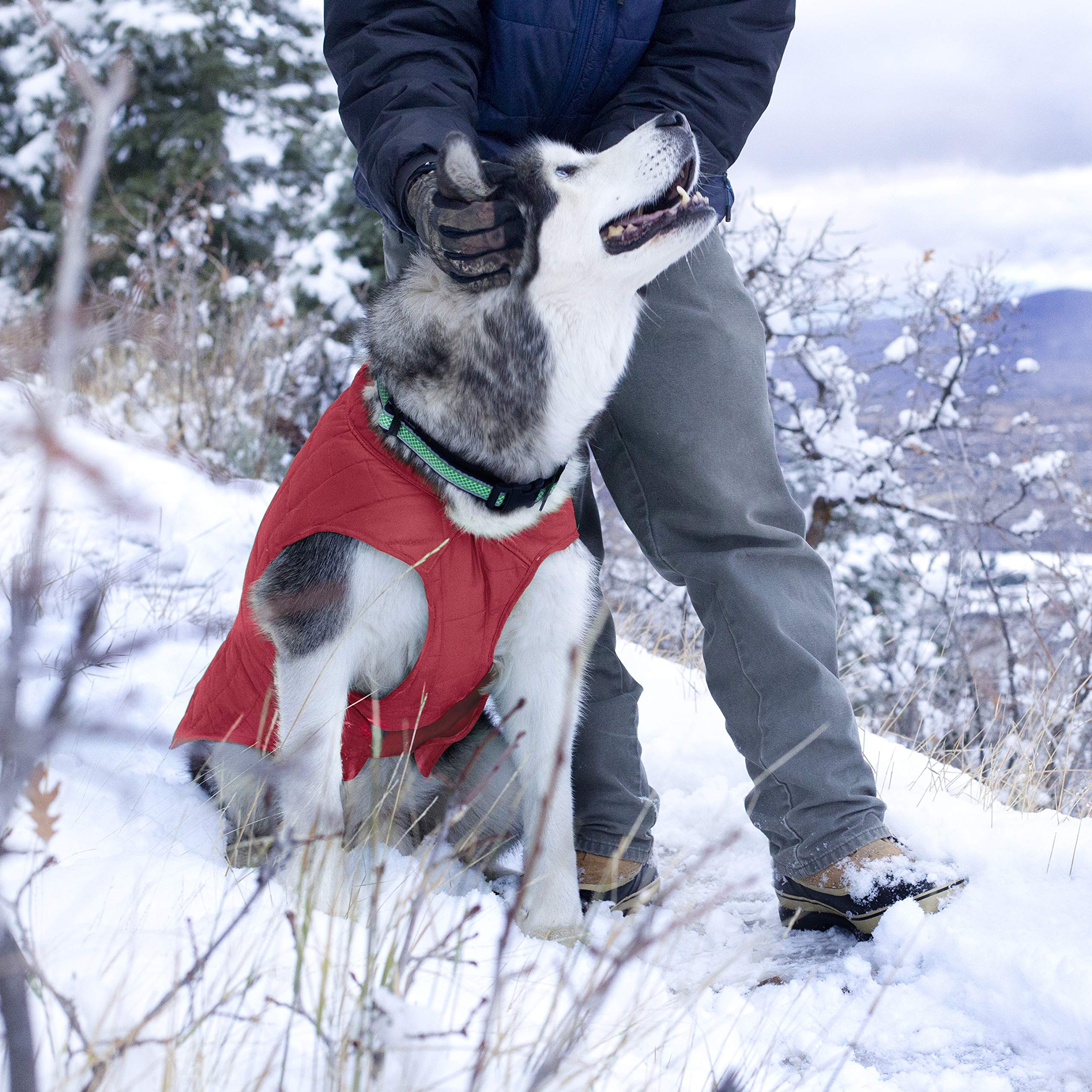 Kurgo Loft Dog Jacket machine-washable for quick cleanup after muddy outings.